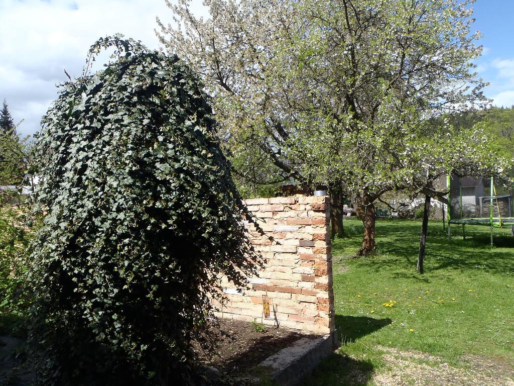 Penzion Villa Marion Mariánské Lázně Extérieur photo