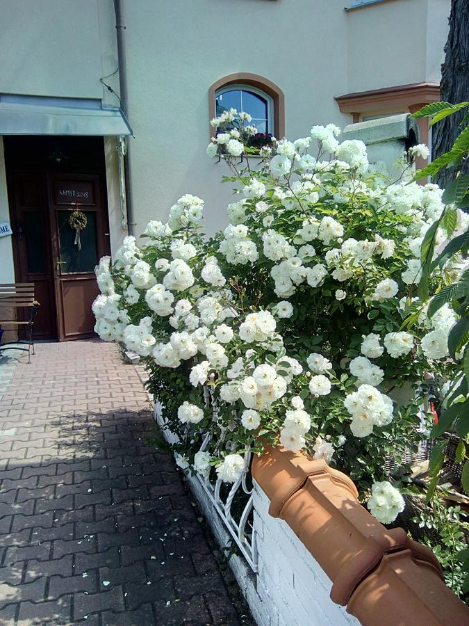 Penzion Villa Marion Mariánské Lázně Extérieur photo